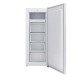 Sensis RFTLF01Z54EW 54.8cm Low Frost Tall Freezer ++3 Year Warranty++ Sensis RFTLF01Z54EW 54.8cm Low Frost Tall Freezer ++3 Year Warranty++