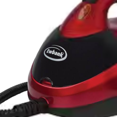 Steam Cleaners 