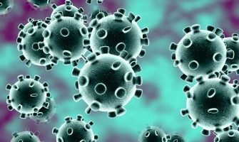 Coronavirus Latest Information