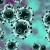 Coronavirus Latest Information